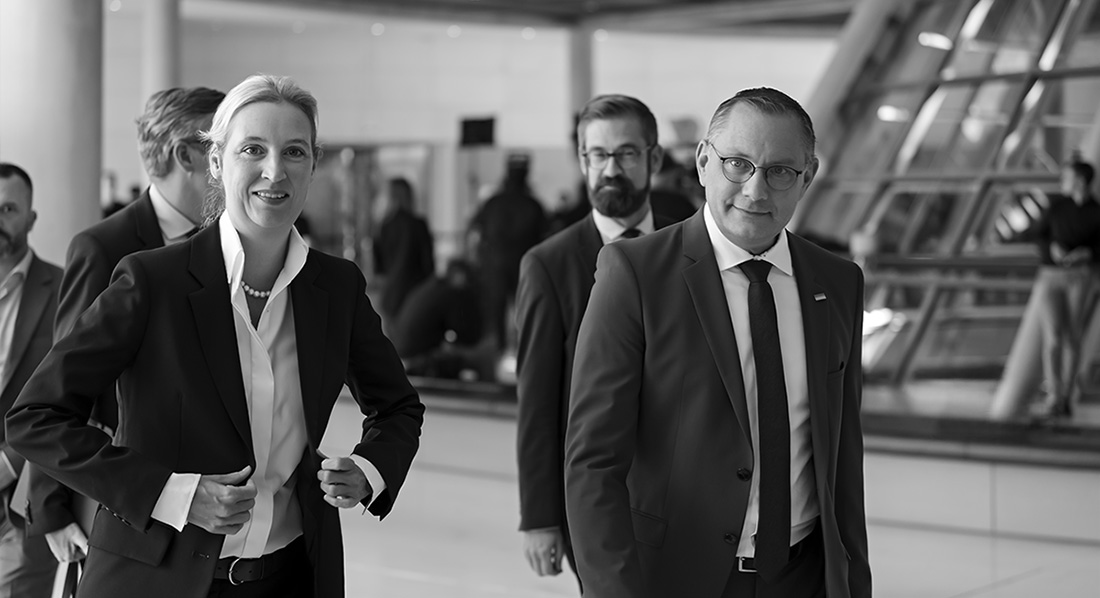 alice weidel tino chrupalla