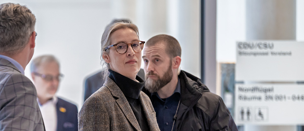 alice weidel 11.11.2025